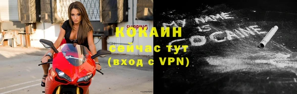 не бодяженный Тайга