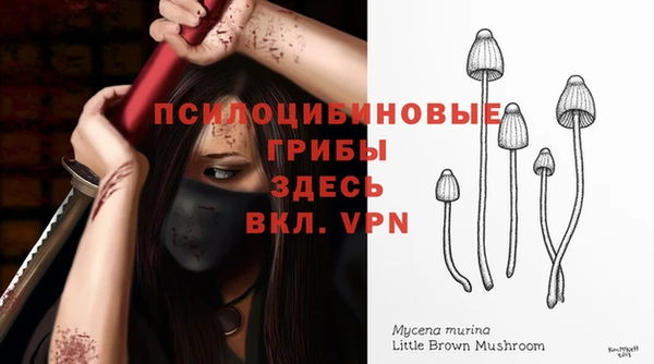 спиды Вязники