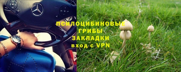 прущая мука Вязьма