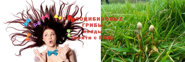 прущая мука Вязьма
