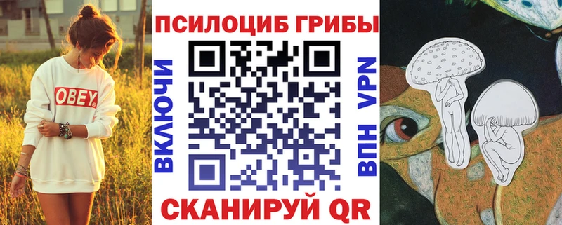 Псилоцибиновые грибы ЛСД  где можно купить наркотик  Снежинск 